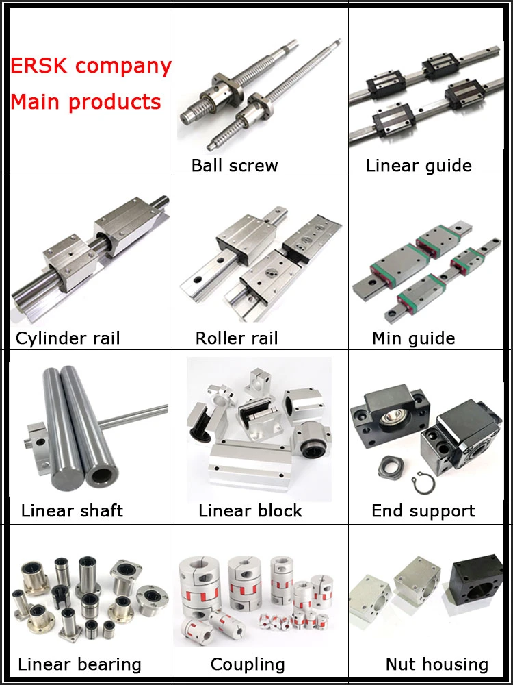 High Reliability Precision Ball Screw with Double Nut (metal reflection) and Brackets